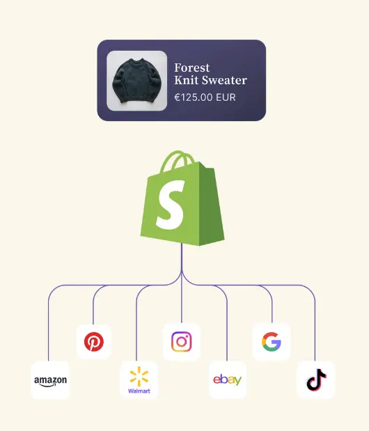 How shopify work